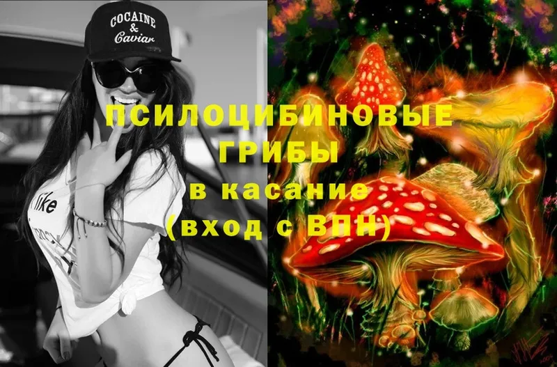 Галлюциногенные грибы Psilocybe  Заозёрный 